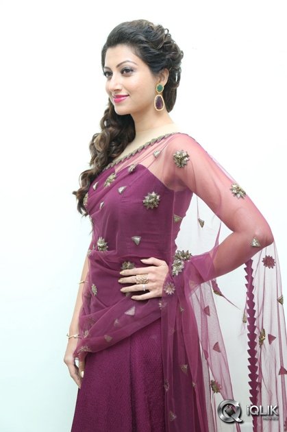 Hamsa-Nandini-at-Bengal-Tiger-Movie-Audio-Launch